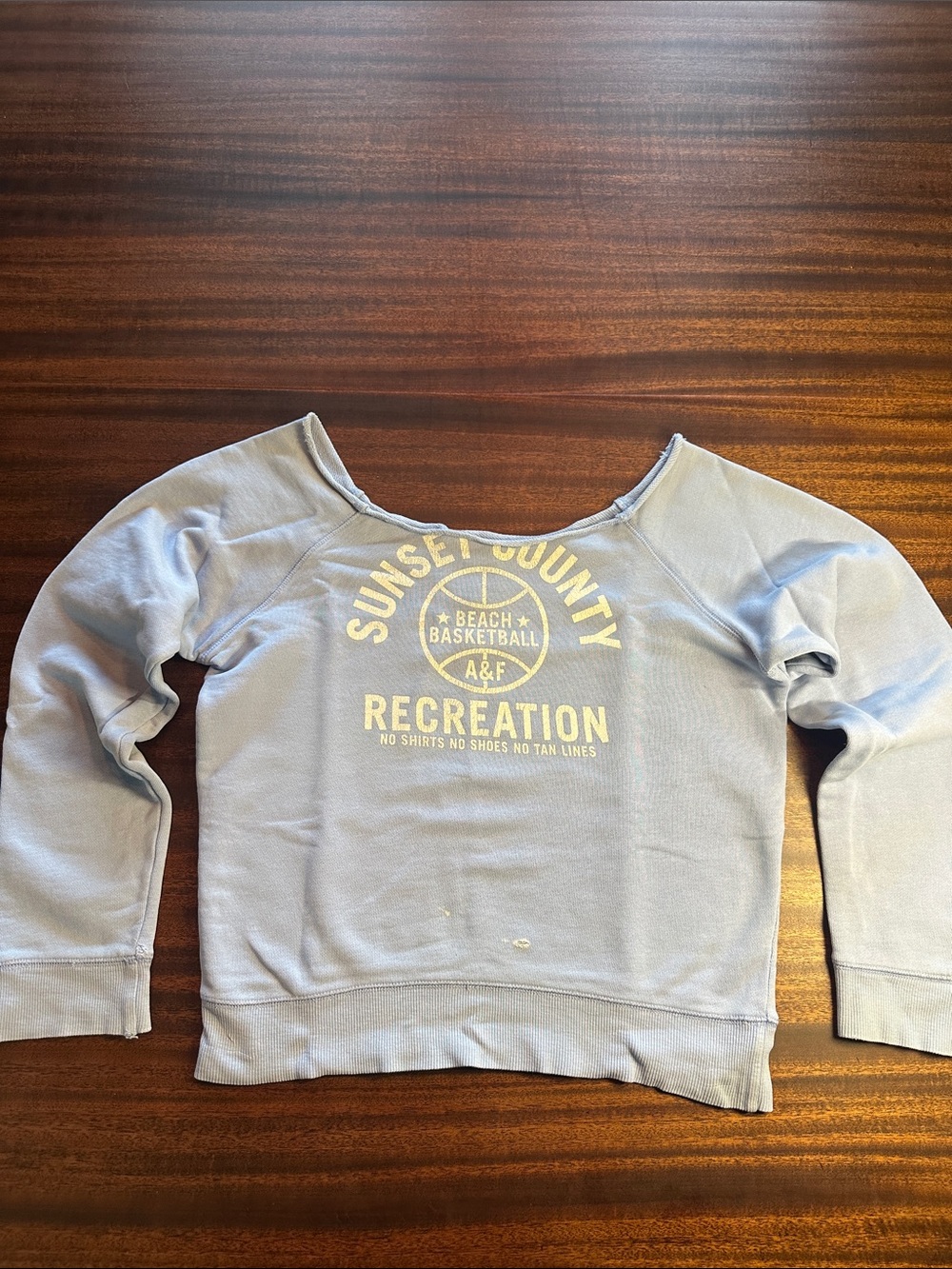 Abercrombie & Fitch Light Blue "Sunset County Recreation" Sweatshirt